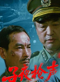 女高中生伪日记